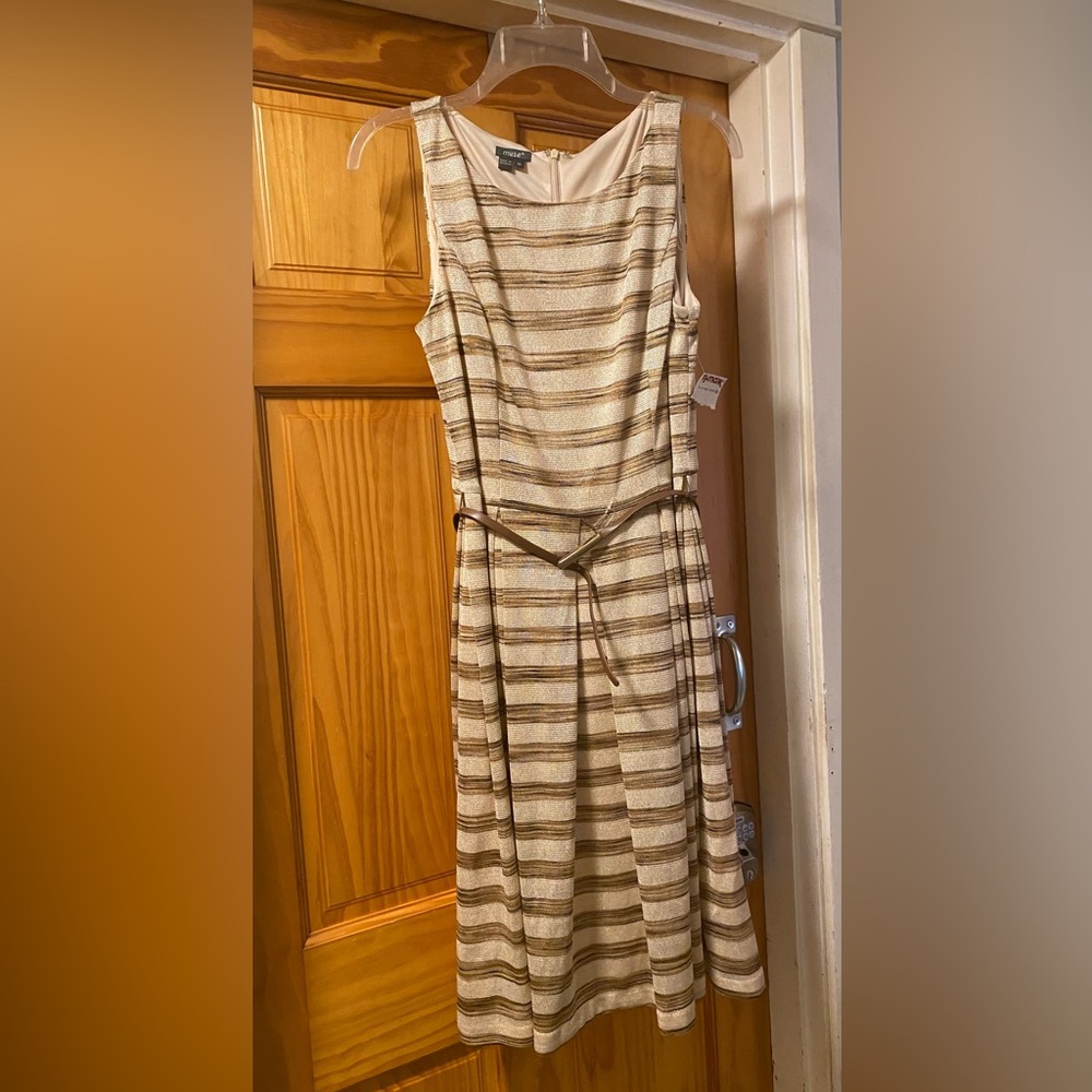 Muse sleeveless dress